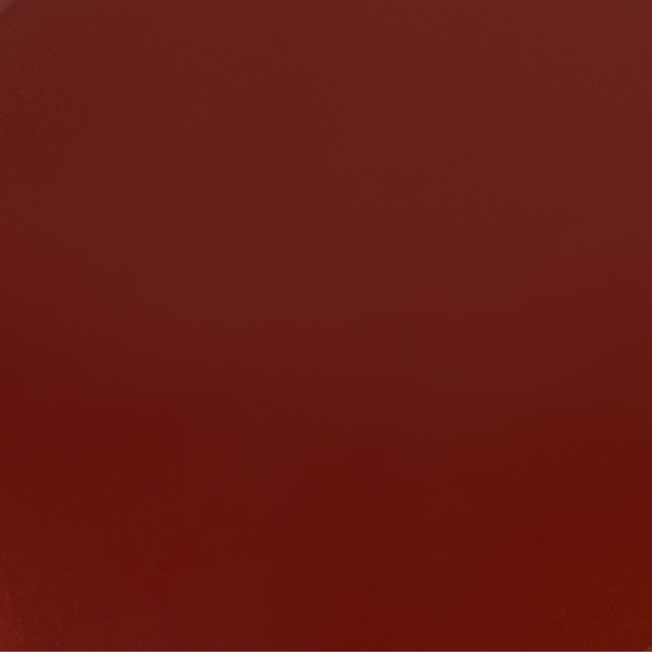 SHINY LACQUERED ROUGE BRUN