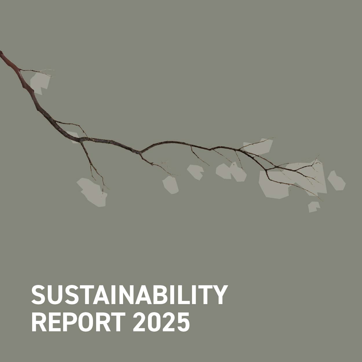 REPORT DI SOSTENIBILITÀ 2025